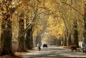 Abbottabad.png